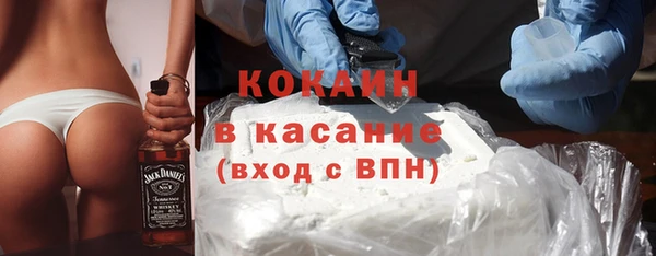 шишки Каменногорск