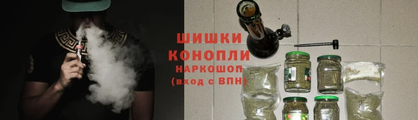 2c-b Инсар