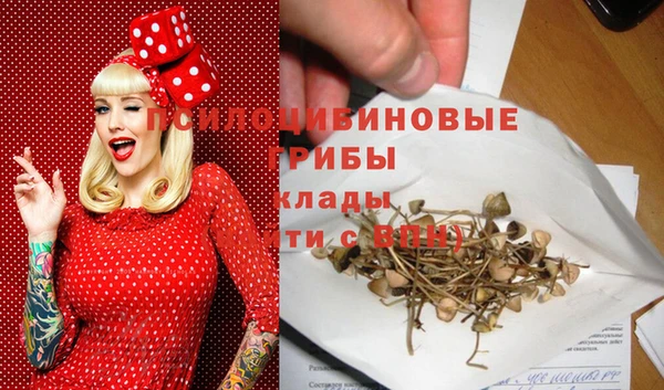 мескалин Инта