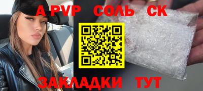 крисы Донской