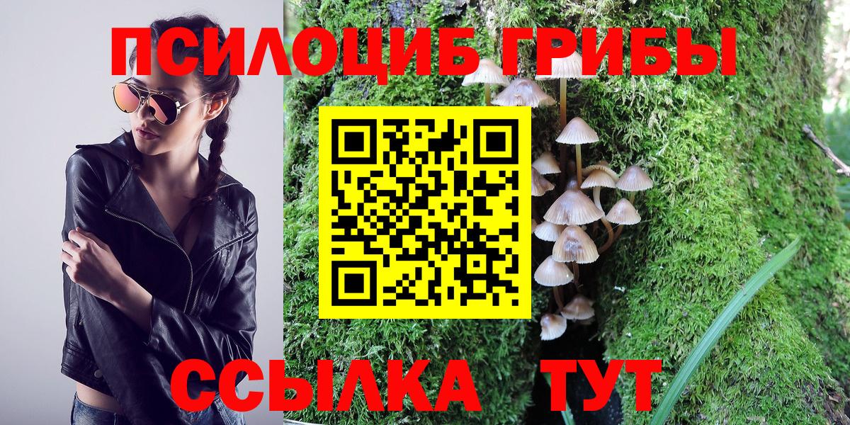 Галлюциногенные грибы Psilocybe  Вход с VPN  Сосновоборск 