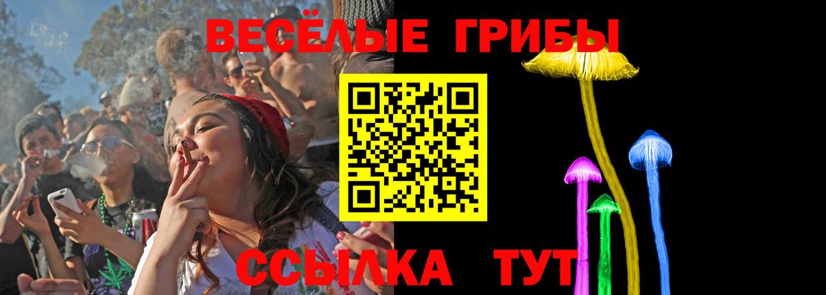 Псилоцибиновые грибы GOLDEN TEACHER Сосновоборск